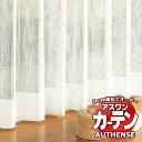 【ポイント最大23倍・送料無料】アスワン オーダーカーテン オーセンス スペイ / C1395 ハイグレード縫製 約2倍 幅300x高さ140cmまで