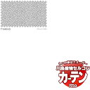 【生地のみの購入! ※1m以上10cm単位で購入可能】 川島織物セルコン オーダーカーテン itto function lace / TT9403
