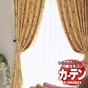 川島織物セルコン コントラクトカーテン greendays リキュルス / GD1098～1099 スタンダード タテ 1.5倍ヒダ 幅200x高さ260cmまで