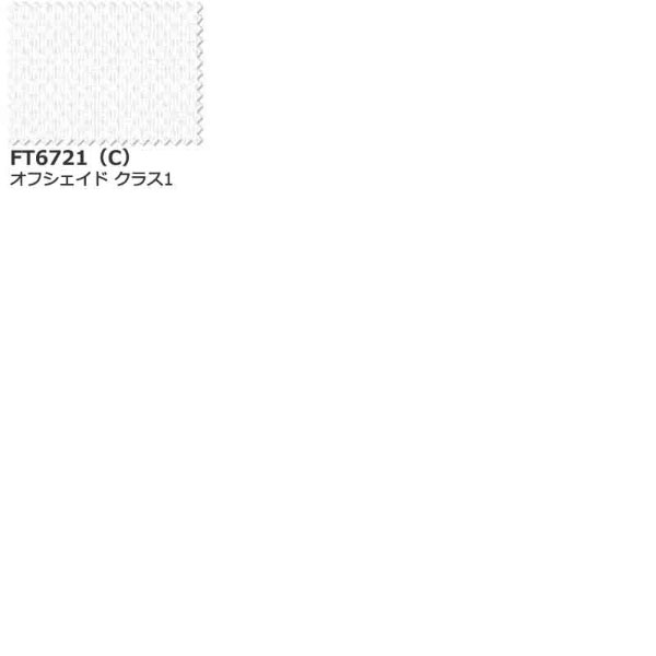 カーテン シェード 川島織物セルコン FELTA MIRROR LACE FT6721 (10cm)1m以上10cm単位で販売