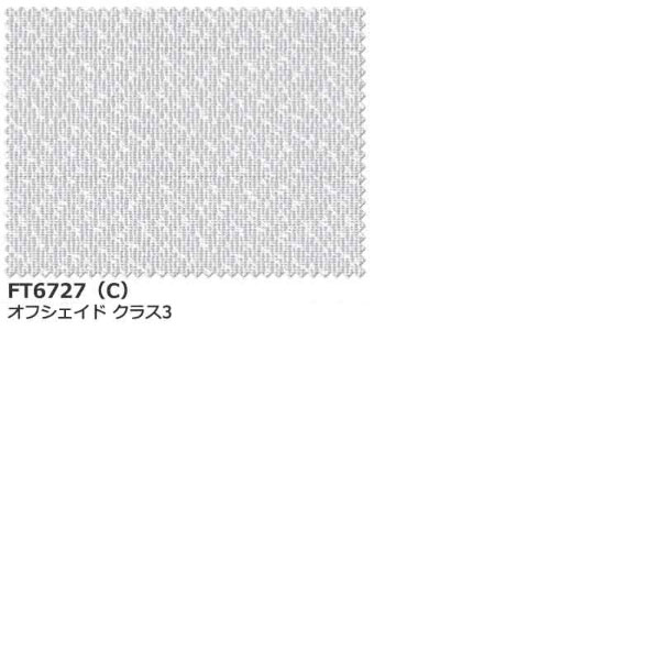 カーテン シェード 川島織物セルコン FELTA MIRROR LACE FT6727 (10cm)1m以上10cm単位で販売