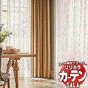 【生地のみの購入! ※1m以上10cm単位で購入可能】 カーテン レース リリカラ SALA サーラ V&A Arts and Crafts LS-63019 ...