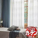 【生地のみの購入! ※1m以上10cm単位で購入可能】 カーテン レース リリカラ SALA サーラ Lilycolor British Colours LS-...