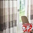 【生地のみの購入! ※1m以上10cm単位で購入可能】 カーテン レース リリカラ SALA サーラ Lace LS-63456 生地巾300cm
