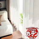 【生地のみの購入! ※1m以上10cm単位で購入可能】 カーテン レース リリカラ SALA サーラ Lace LS-63511 生地巾100cm