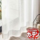 【生地のみの購入! ※1m以上10cm単位で購入可能】 カーテン レース リリカラ SALA サーラ Lace LS-63523 生地巾150cm