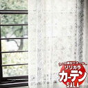 【生地のみの購入! ※1m以上10cm単位で購入可能】 カーテン レース リリカラ SALA サーラ Lace LS-63545 生地巾110cm