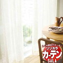 【生地のみの購入! ※1m以上10cm単位で購入可能】 カーテン レース リリカラ SALA サーラ Lace LS-63546 生地巾100cm