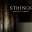 ƥ 󥲥ĤΥƥ ȥ󥰥(STRINGS) ץ