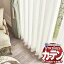 sc-764の画像