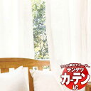 カーテン&シェード サンゲツ AC Sheer & Lace AC2568 SS仕様(スタンダード)約2倍ヒダ 幅300x高さ160cmまで