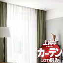 【 1m以上10cm単位で購入可能】カーテン シェード スミノエ modeS モードエス シアー D4505(生地巾300cm)