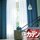 【生地のみの購入! ※1m以上10cm単位で購入可能】 スミノエ オーダーカーテン ユーライフ ファンクショナルシアー U-5415 生地巾100cm