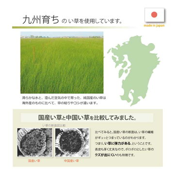 置き畳 半畳 国産 い草ラグ 『あぐら』 ネイビー 約82×82cm 9枚組