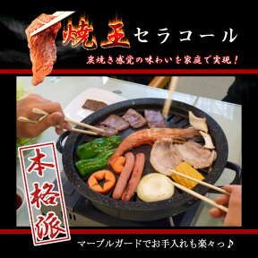 焼肉プレート 室内 バーベキュー グリル 煙が気にならない お部屋OK 軽量で収納楽 ダイエット 遠赤外線効果でおいしく焼ける セラコール炭火焼器 CE-401