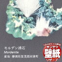 【10m以上購入で送料無料】壁紙 クロス サンゲツの壁紙!RESERVE リザーブ 国立科学博物館 RE55944 10m以上1m単位で販売