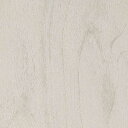 【1m以上購入で送料無料】サンゲツ フィルム リアテック REATEC COAT / リアテックコート バーチ杢 RW-5419 1m以上10cm単位で販売