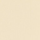 【1m以上購入で送料無料】サンゲツ フィルム リアテック COLOR / カラー 単色 TA-4705 1m以上10cm単位で販売