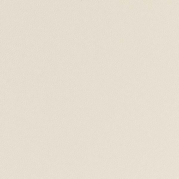 1mʾ̵ۥ󥲥 ե ꥢƥå COLOR / 顼 ñ TA-4709 1mʾ10cmñ̤