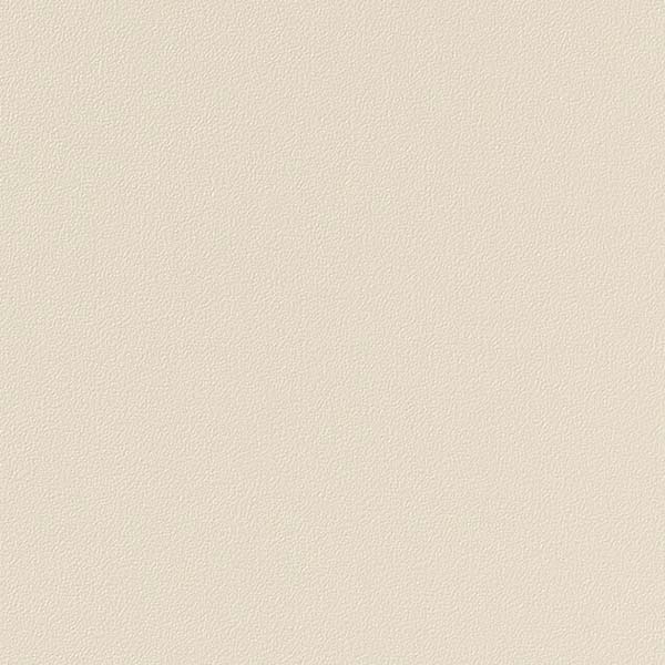 1mʾ̵ۥ󥲥 ե ꥢƥå COLOR / 顼 ñ TA-4717 1mʾ10cmñ̤