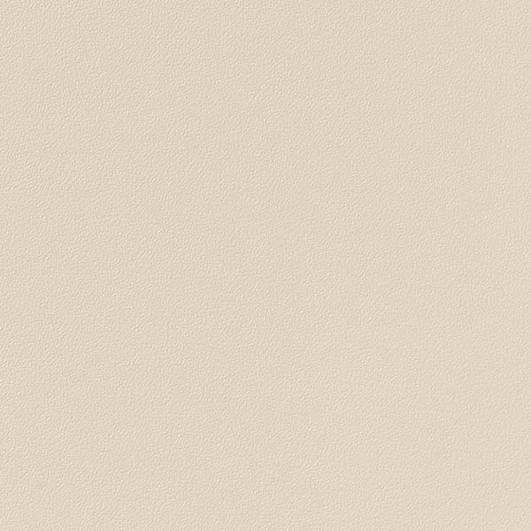 1mʾ̵ۥ󥲥 ե ꥢƥå COLOR / 顼 ñ TA-4718 1mʾ10cmñ̤