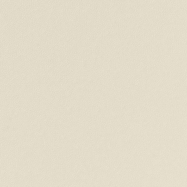1mʾ̵ۥ󥲥 ե ꥢƥå COLOR / 顼 ñ TA-4719 1mʾ10cmñ̤