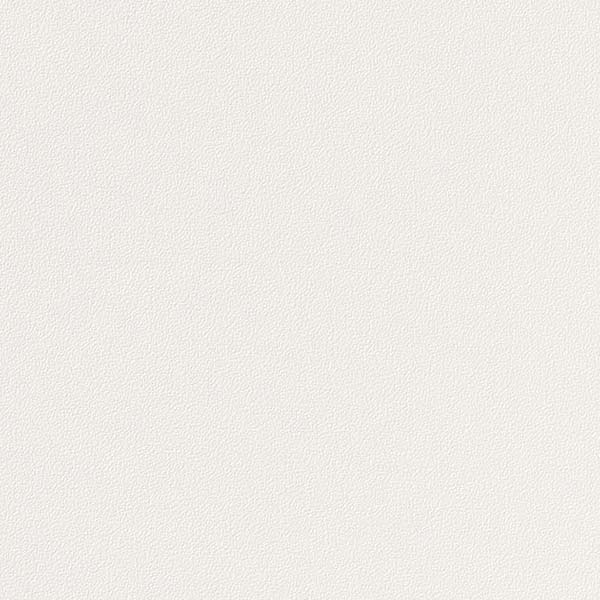 1mʾ̵ۥ󥲥 ե ꥢƥå COLOR / 顼 ñ TA-4721 1mʾ10cmñ̤