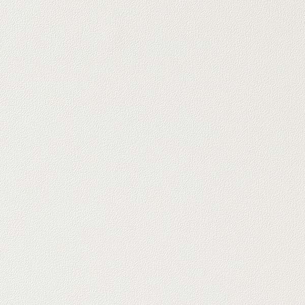 1mʾ̵ۥ󥲥 ե ꥢƥå COLOR / 顼 ñ TA-4744 1mʾ10cmñ̤