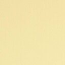【1m以上購入で送料無料】サンゲツ フィルム リアテック COLOR / カラー 単色 TA-4754 1m以上10cm単位で販売