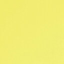 【1m以上購入で送料無料】サンゲツ フィルム リアテック COLOR / カラー 単色 TA-4755 1m以上10cm単位で販売