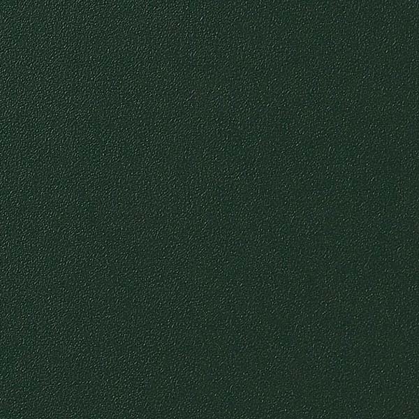 1mʾ̵ۥ󥲥 ե ꥢƥå COLOR / 顼 ñ TA-4769 1mʾ10cmñ̤