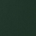 【1m以上購入で送料無料】サンゲツ フィルム リアテック COLOR / カラー 単色 TA-4769 1m以上10cm単位で販売