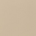 【1m以上購入で送料無料】サンゲツ フィルム リアテック COLOR / カラー 単色 TA-5231 1m以上10cm単位で販売