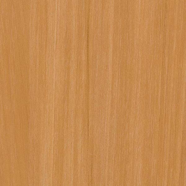 1mʾ̵ۥ󥲥 ե ꥢƥå WOOD / å ڥ TC-4269 1mʾ10cmñ̤