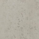 【1m以上購入で送料無料】サンゲツ フィルム リアテック CONCRETE / コンクリート コンクリート(BETON) TC-4543 1m以上10cm単位で販売