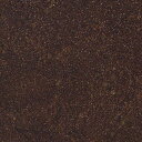 【1m以上購入で送料無料】サンゲツ フィルム リアテック RUST / 錆 錆 TD-4548 1m以上10cm単位で販売(3)