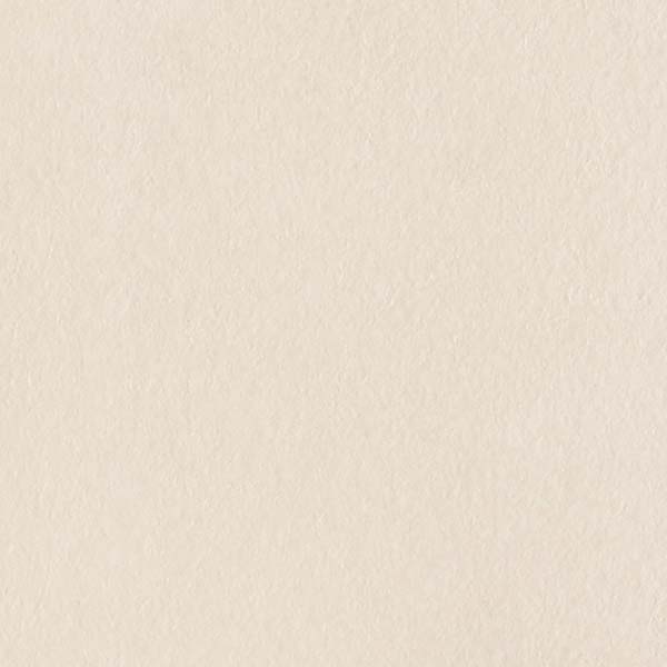 1mʾ̵ۥ󥲥 ե ꥢƥå STUCCO / PLASTER / å / ץ饹 Хץ饹 TN-5661 1mʾ10cmñ̤