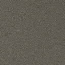 【1m以上購入で送料無料】サンゲツ フィルム リアテック METALLIC / メタリック WarmGray TR-5542 1m以上10cm単位で販売