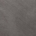【1m以上購入で送料無料】サンゲツ フィルム リアテック STUCCO / PLASTER / スタッコ / プラスター パールスタッコ TU-4526 1m以上10cm単位で販売