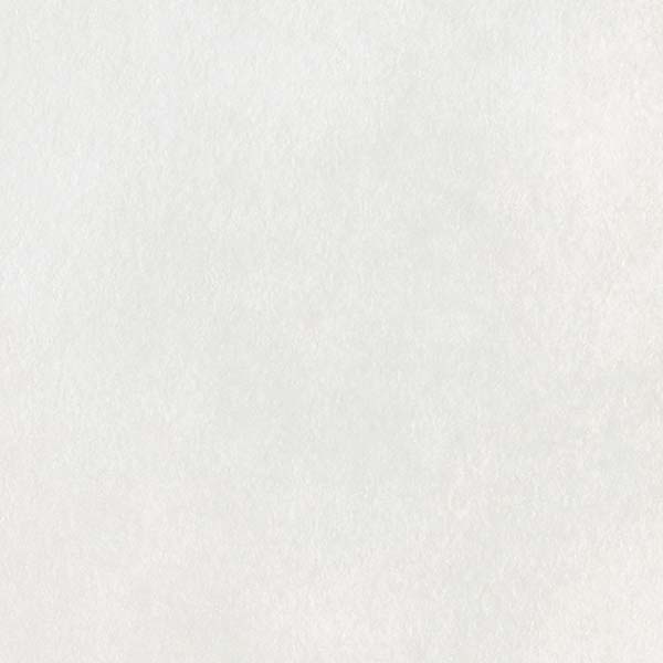 【1m以上購入で送料無料】サンゲツ フィルム リアテック ABSTRACTNATURE / 自然の輪郭 Ukigumo TX-5611 1m以上10cm単位で販売