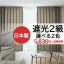ノイエ カーテン ジャカード ノワ プレーンシェード ドラム式 幅50×高さ300cm迄