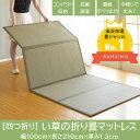 【送料無料】快適健康生活!四つ折り畳 100x210x1.3