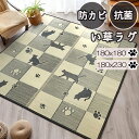 【送料無料】 快適健康生活!い草ラグ キューブキャット ブラック