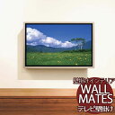 空いてる壁を収納に 石膏ボード 石こうボード へのお取り付けに テレビ壁掛け金具 M-5051 テレビ壁掛けレール300