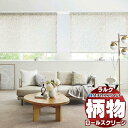 【ポイント最大23倍・送料無料】タチカワブラインド ロールスクリーン カーム ビアンカ RS-1010 ラルクシールド ワンタッチチェーン操作 幅1600x高さ1600mm迄(3)