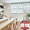 【ポイント最大23倍・送料無料】タチカワブラインド ロールスクリーン ファン ポルク RS-1021〜1022 ラルクシールド チェーン操作 幅1200x高さ2500mm迄(3)