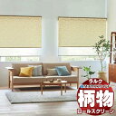 【ポイント最大23倍・送料無料】タチカワブラインド ロールスクリーン スロウ コトリ RS-1031 ラルク ダブル小型 プルコード操作 幅800x高さ490mm迄(3)