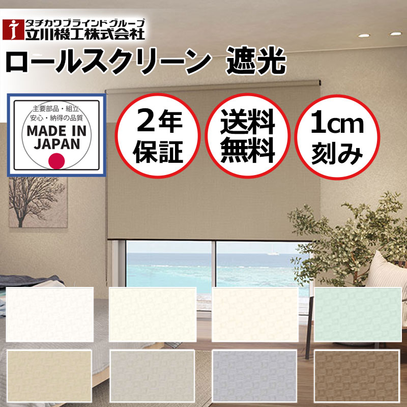 ロールスクリーン カーテンレール取付可 立川機工 目隠し 間仕切り ディアリオ遮光 チェーン RT-1741～RT-1748 ウォッシャブル 幅40cm×高さ90cm迄