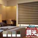 【ポイント最大23倍・送料無料】調光ロールスクリーン トーソー 光を自由自在 ビジック ゼブラシークル 非ウォッシャブル生地 TR-6713〜TR-6716