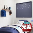 【ポイント最大23倍・送料無料】レーザーカット ロールスクリーン トーソー コルト TR-6025〜TR-6056 TYPE412 幅1200×高さ800mm迄(3)